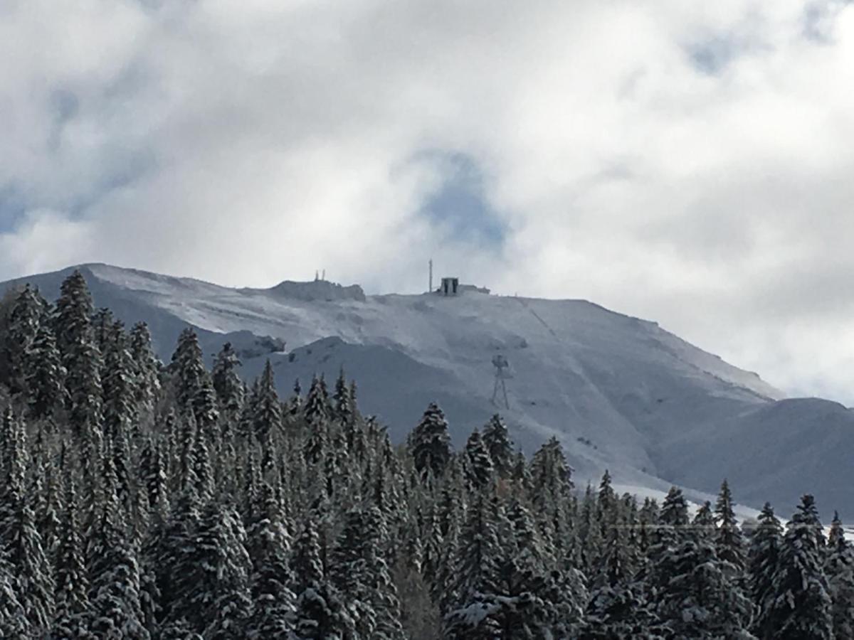 Le Lioran Studio Les Myrtilles A 200M Des Pistes Екстериор снимка