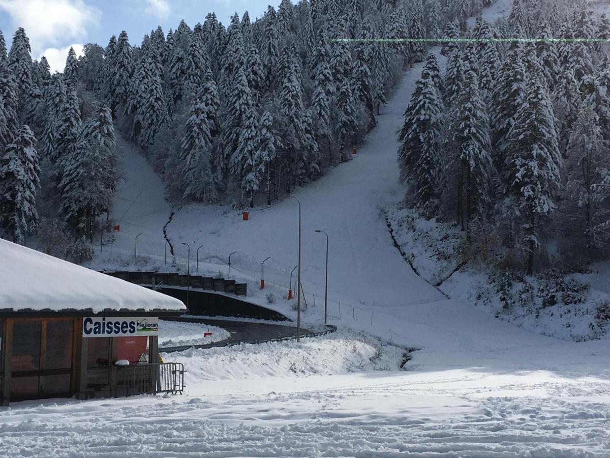 Le Lioran Studio Les Myrtilles A 200M Des Pistes Екстериор снимка