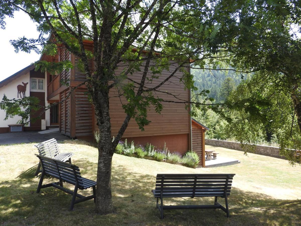 Le Lioran Studio Les Myrtilles A 200M Des Pistes Екстериор снимка